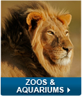 Zoos & Aquaruims Software